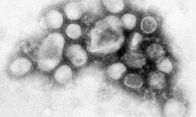 Health Care Providers May Be at Greater Risk of Flu Exposure