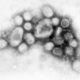 Health Care Providers May Be at Greater Risk of Flu Exposure