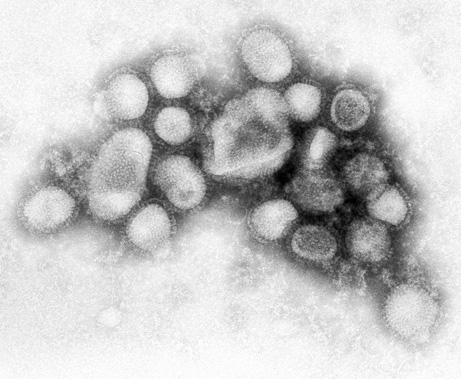 Health Care Providers May Be at Greater Risk of Flu Exposure