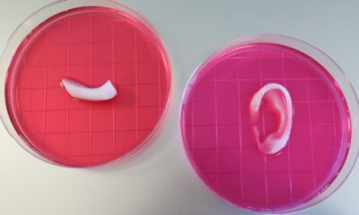 Scientists Prove Feasibility of “Printing” Replacement Tissue