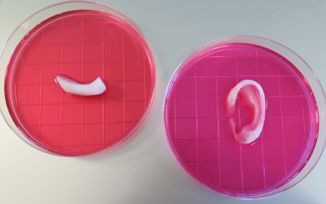 Scientists Prove Feasibility of “Printing” Replacement Tissue